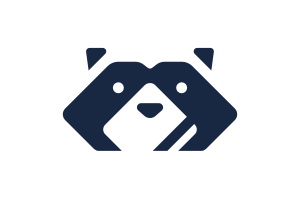 代码小浣熊Raccoon